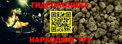 гидра Чапаевск