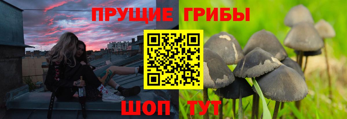 Псилоцибиновые грибы ЛСД Белая Калитва
